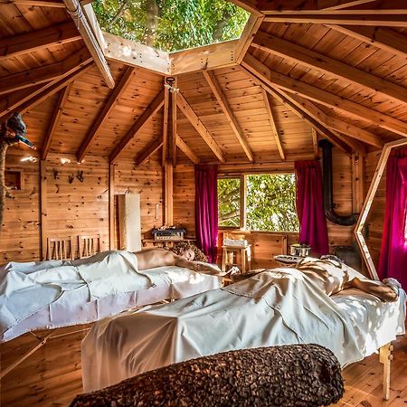 Spa In The Woods - B&B In Amirim Exterior foto