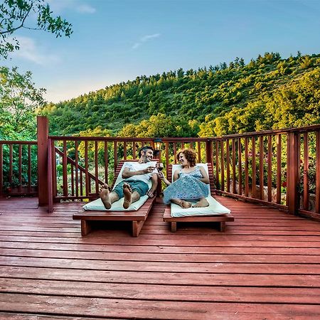 Spa In The Woods - B&B In Amirim Exterior foto